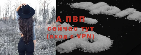 винт Абаза