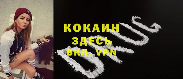 дживик Абинск