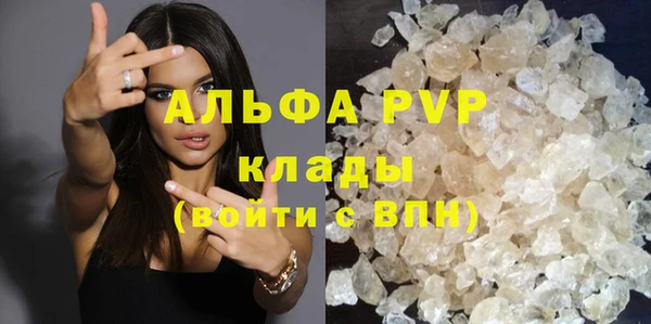 винт Абаза