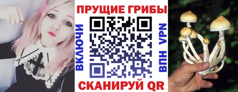 Псилоцибиновые грибы мицелий Исилькуль
