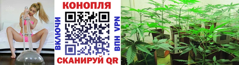 Конопля OG Kush  Исилькуль 